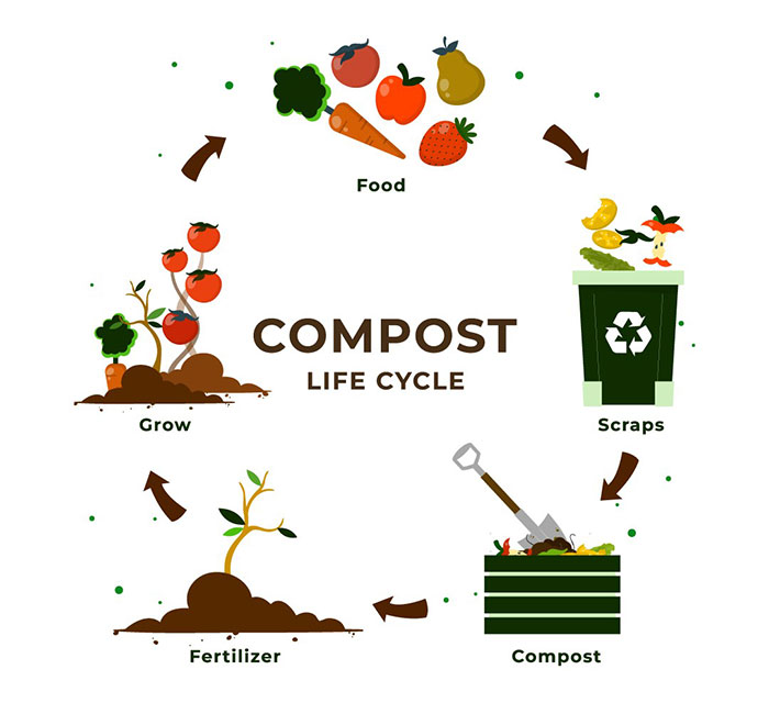 what is composting illustration 