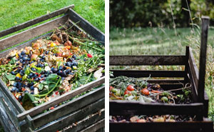 What Is Composting And How To Do It (In Simple Terms)
