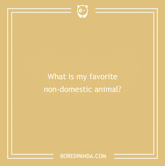 175 “Who Knows Me Better” Questions To Spice Up Your Evening