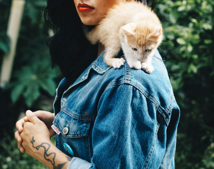 kitten climbing on the woman's shoulder