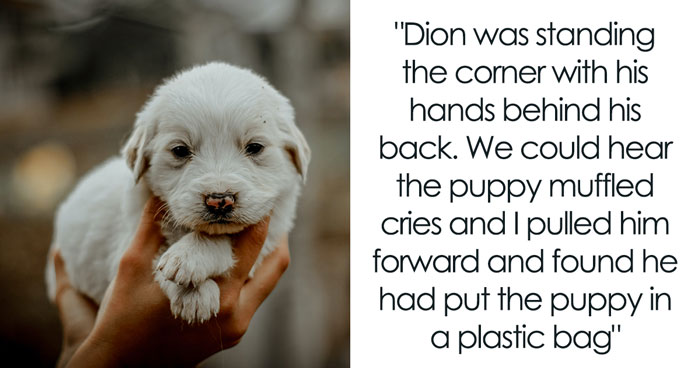 Woman Changes Her Mind About Giving A Puppy To Nephew When He Tries To Steal It, Asks If It’s Wrong