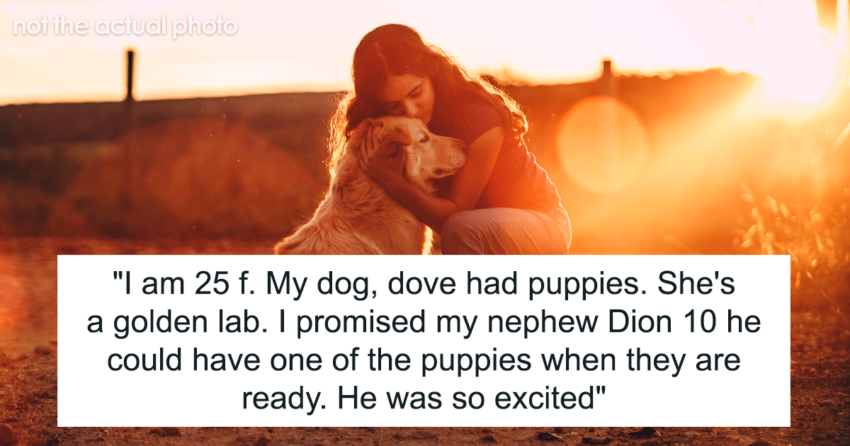 Woman Changes Her Mind About Giving A Puppy To Nephew When He Tries To Steal It, Asks If It's Wrong - Vimarsana News
