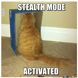 lilakrajewski avatar