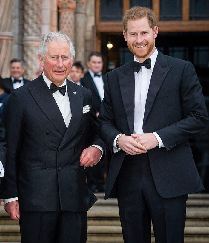 Following King Charles’s Cancer Diagnosis, Prince Harry Rushes To His Side
