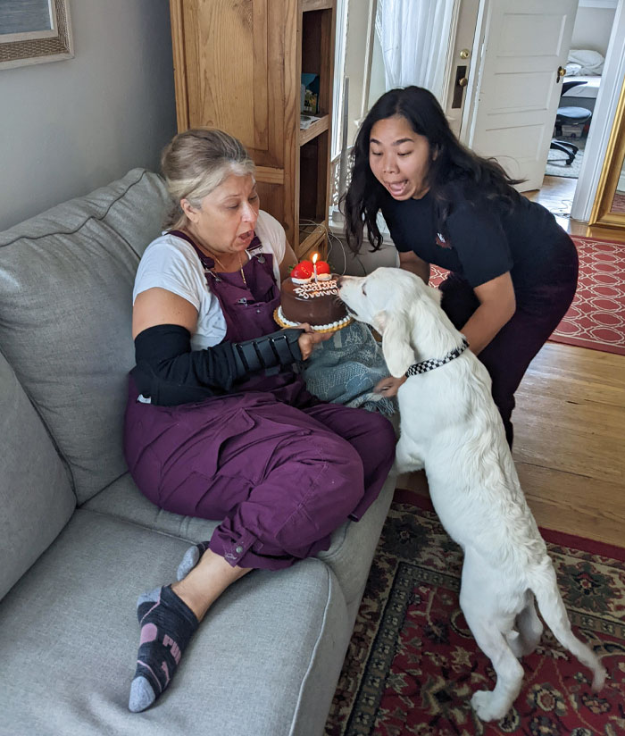 My Puppy Decided He Also Wanted A Piece Of My Mom's Birthday Cake