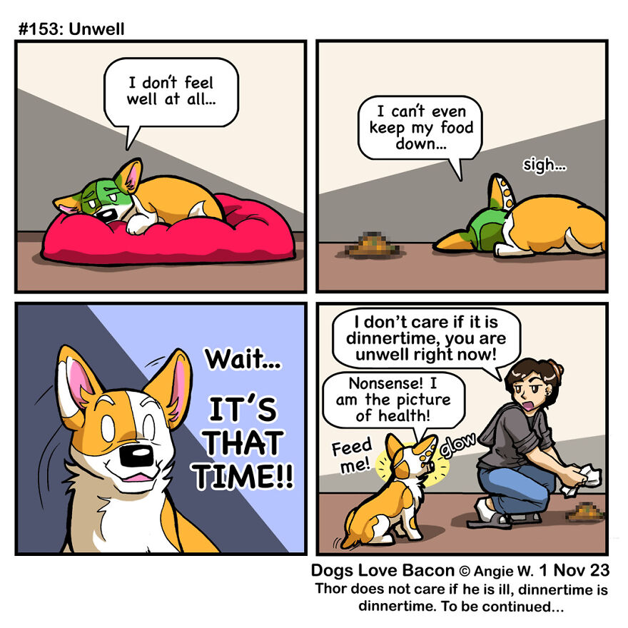 I Draw Comics About The Lives Of Four Rescue Dogs!