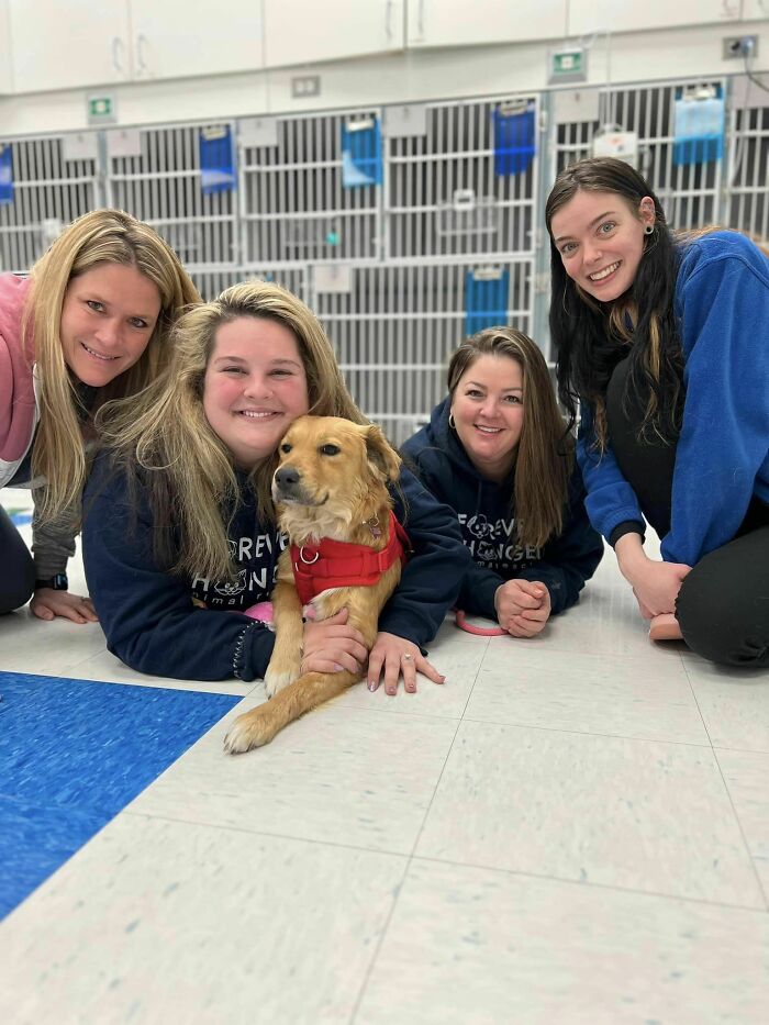 Saved After 8 Days In A Shipping Container, Connie The Dog Is Revealed To Be Expecting