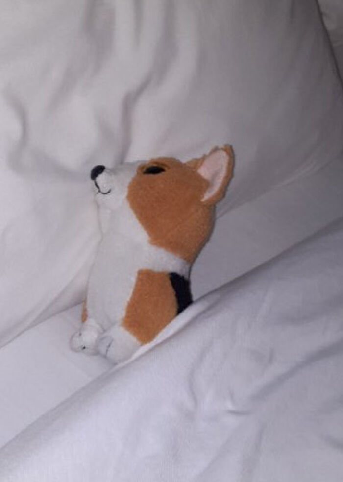Family Was Distressed After Son’s Toy Was Left Behind Until Hotel Staff Saved The Day