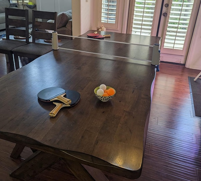 Turn Any Surface Into A Ping Pong Table With Pro-Spin