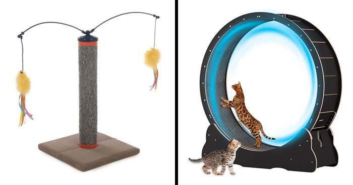 15 Best Cat Toys For Your Feline Friend, Reviewed By An Expert