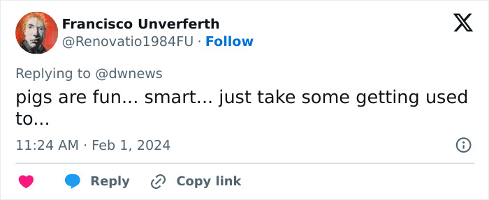 Pigs At This Cafe In Tokyo Are Called “Buta-San,” And They Trot Around Looking For Pets Pigs At This Cafe In Tokyo Are Called “Buta-San,” And They Trot Around Looking For Pets