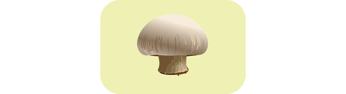 White Button mushrooms