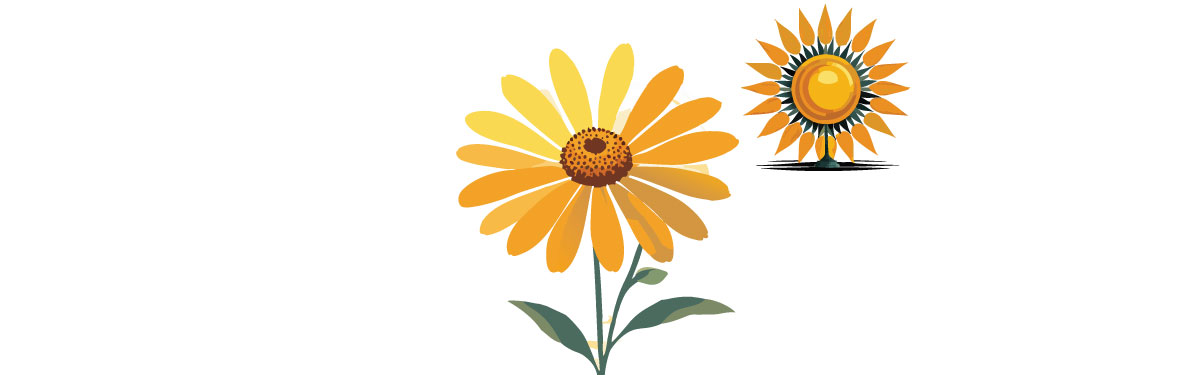 Illustration of coreopsis with sun