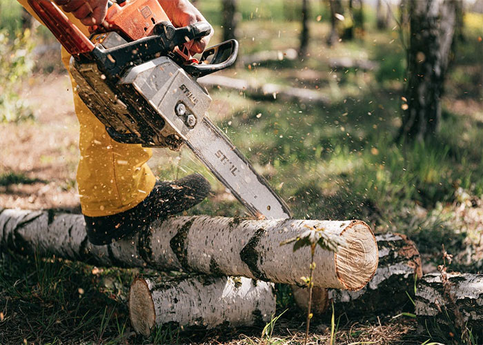 “Husband Tries To Warn Neighbors About Their Landscaping, Gets Told To Mind His Own Business”