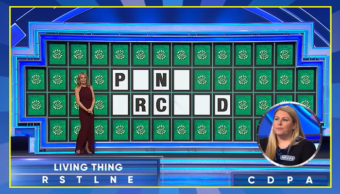 Social Media Goes Wild After Wheel Of Fortune Contestant Was Robbed Of $40,000