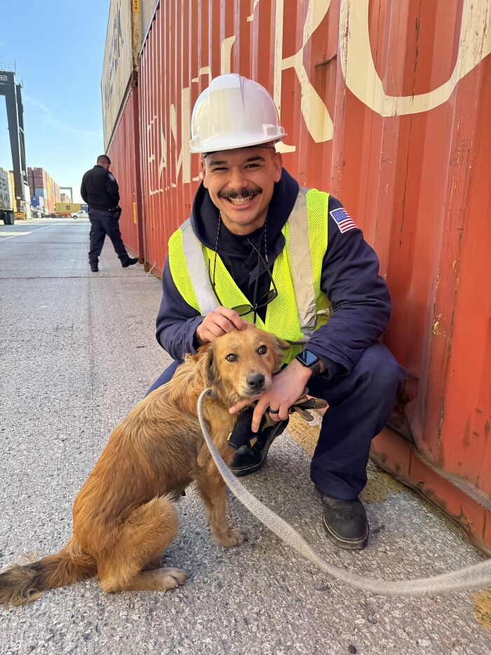 Saved After 8 Days In A Shipping Container, Connie The Dog Is Revealed To Be Expecting