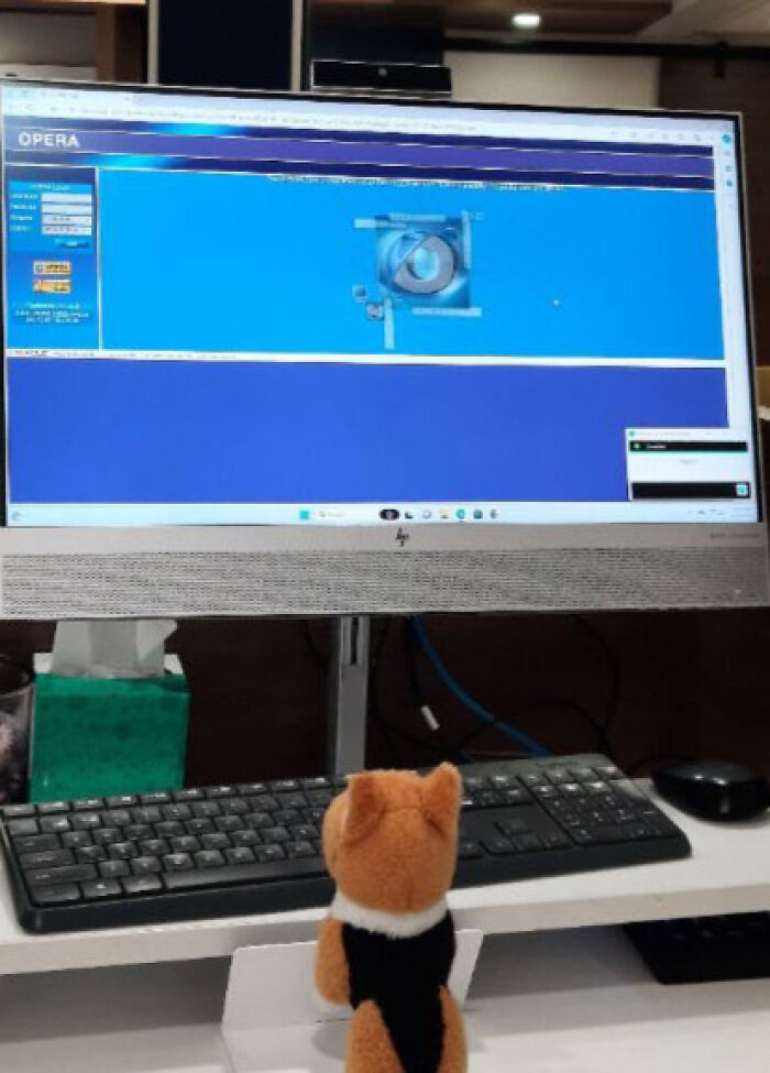 Family Was Distressed After Son’s Toy Was Left Behind Until Hotel Staff Saved The Day Family Was Distressed After Son’s Toy Was Left Behind Until Hotel Staff Saved The Day