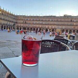 nikolausmagnis avatar