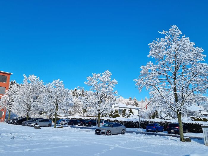 Nothing Special, Just The Parking Lot At My Workplace. But I Really Liked How Blue The Sky Looked In Contrast To The Snow