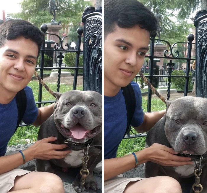 I Asked If I Could Pet Him. The Answer Was, "Sure, He’s Friendly." Dog Starts Growling In The Second Picture