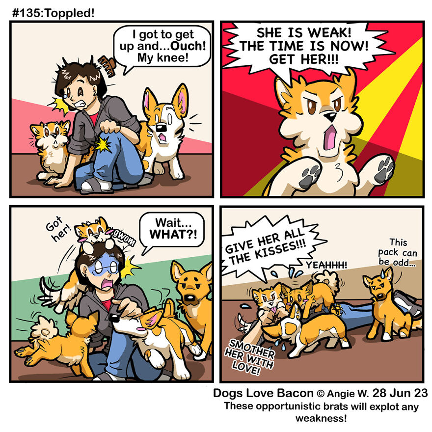 I Draw Comics About The Lives Of Four Rescue Dogs!