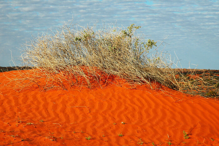 35 Fascinating Things About Australia That Shocked Visitors