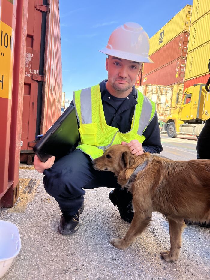 Connie The Container Dog Has Been Hiding An Adorable Surprise