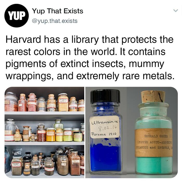 Located On The Fifth Floor Of The Straus Centre At Harvard Lies A Giant Room Full Of The Rarest Colours In The World. It Contains Preserved Pigments From Al Over The World In Order To Preserve Colours Like; Mummy Wrappings, Extinct Insects And Extremely Rare Metals