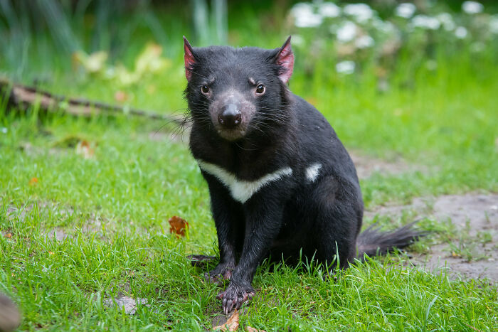 35 Fascinating Things About Australia That Shocked Visitors