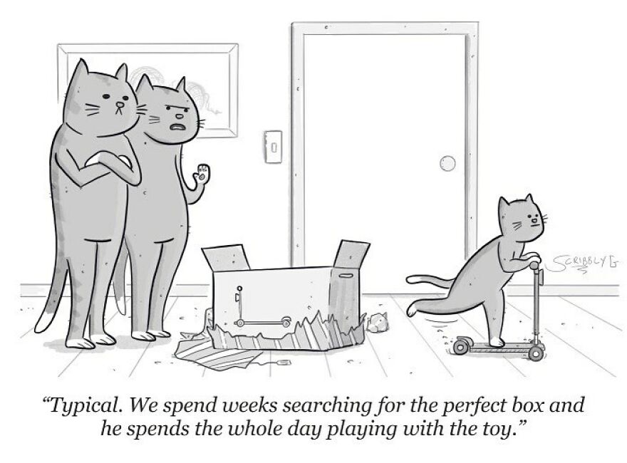 Cats in a humorous comic by Scribbly G, lamenting a kitten's choice to play with a toy over a box.