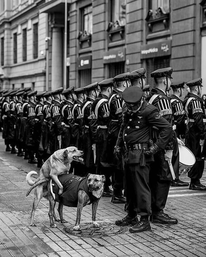 The 57 Best Black And White Photos According To The Street Photographers Foundation Awards