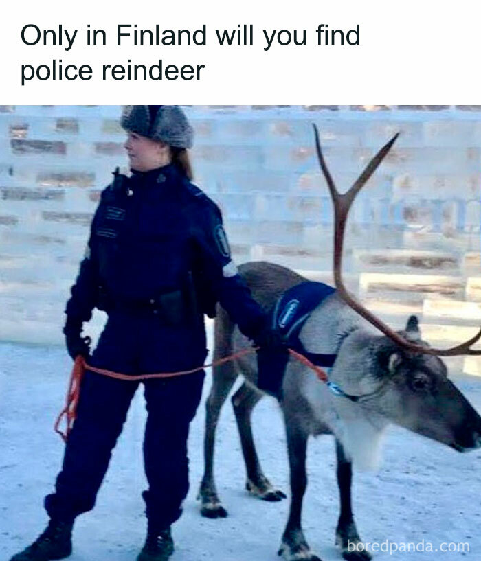 When You Don’t Have A Police Reindeer