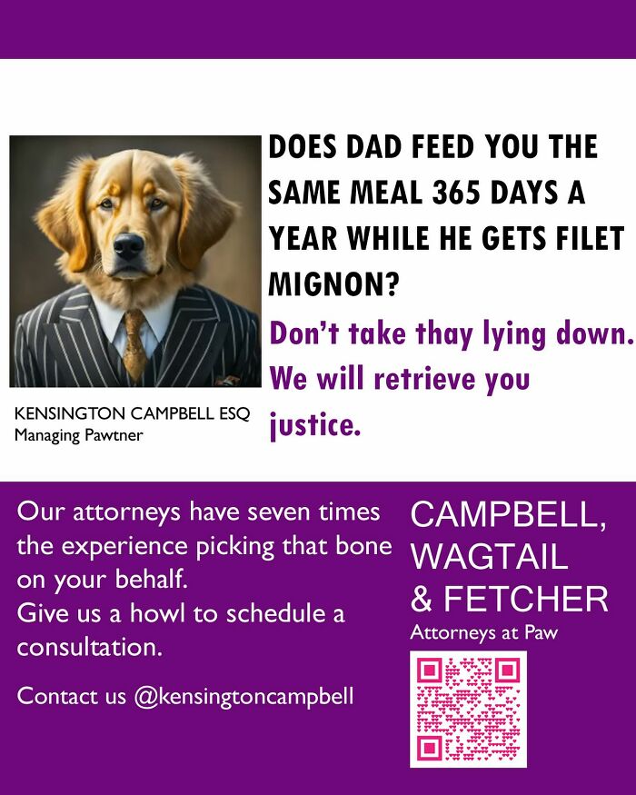 Dog attorney parody ad with a golden retriever in a suit offering legal services for dogs seeking justice.