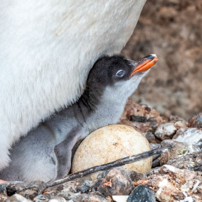 “It’s Life-changing”: World’s Most Remote Post Office Is Hiring 4 Postmasters “It’s Life-changing”: World’s Most Remote Post Office Is Hiring 4 Postmasters