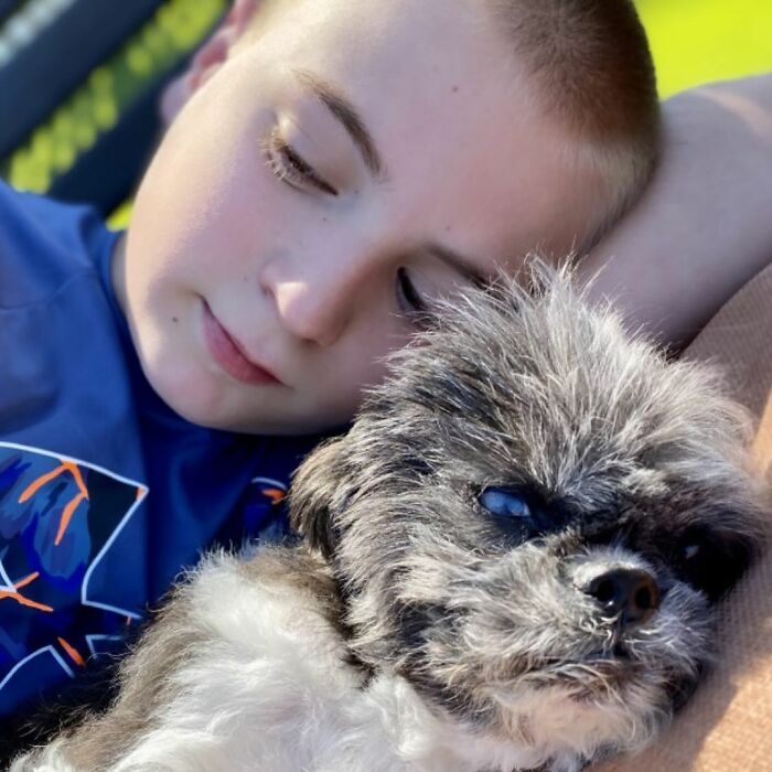 12 Y.O.’s Mission Is To Find Homes For Shelter Dogs And He Has Already Succeeded 4,900 Times