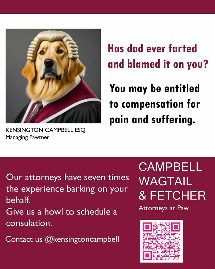Dog dressed as an attorney with wig and robe, parody ad for dogs seeking attorney services by Kensington Campbell.