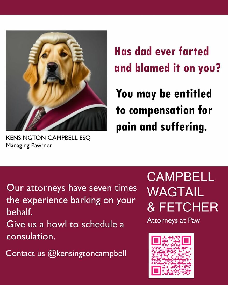 Funny Personal Injury Ads For Dogs (11 Pics)
