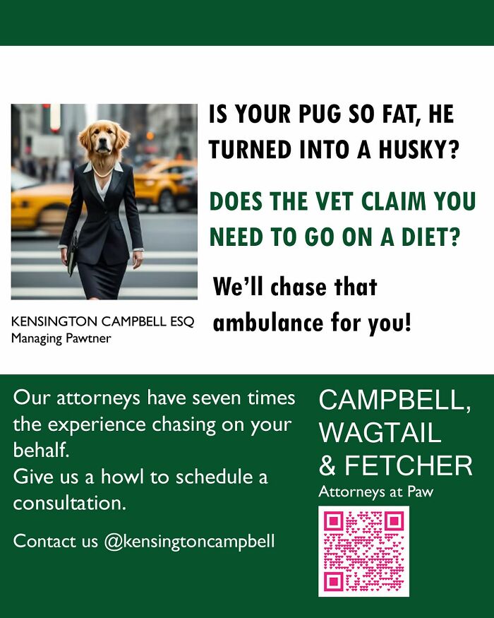 Dog parody ad showing a business-dressed dog promoting attorney services for dogs with vet-related diet claims.