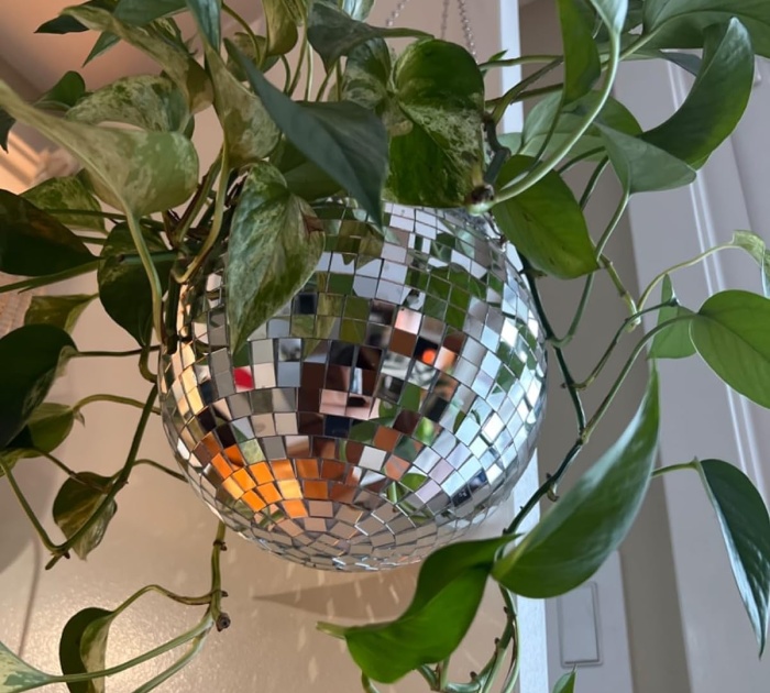 Get Your Groove On With The Disco Ball Planter Package