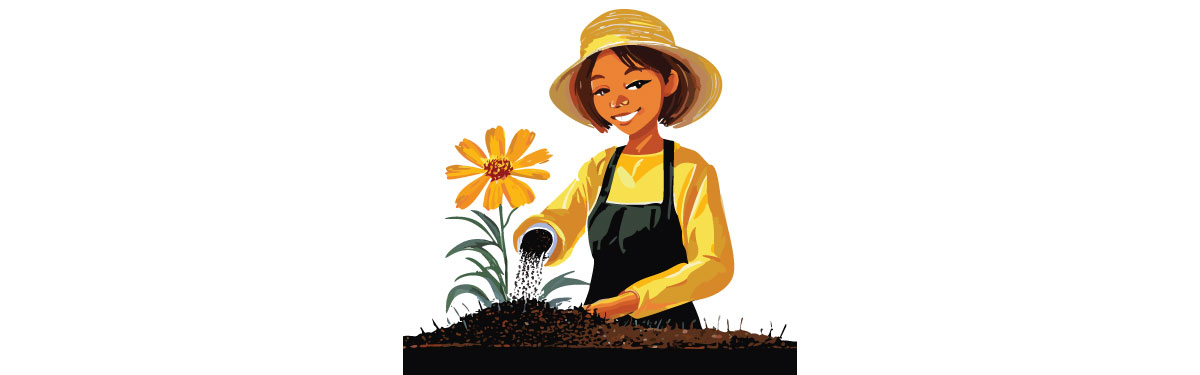 Illustration of person fertilizing coreopsis Illustration of person fertilizing coreopsis