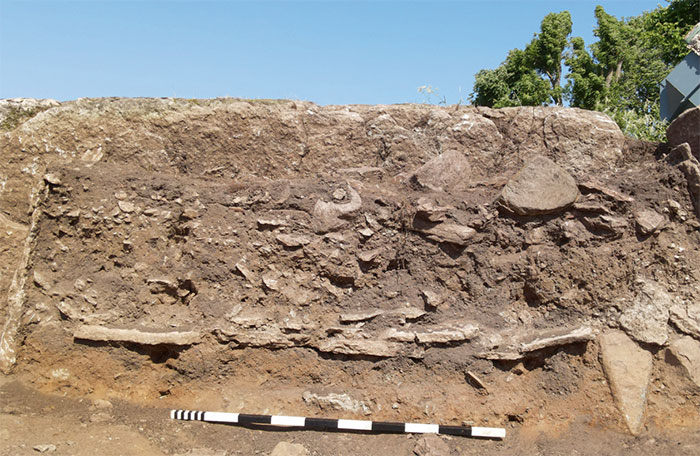 “Well Preserved” DNA Of Twelve 5,500-Year-Old People’s Remains Found In Swedish Neolithic Tomb “Well Preserved” DNA Of Twelve 5,500-Year-Old People’s Remains Found In Swedish Neolithic Tomb