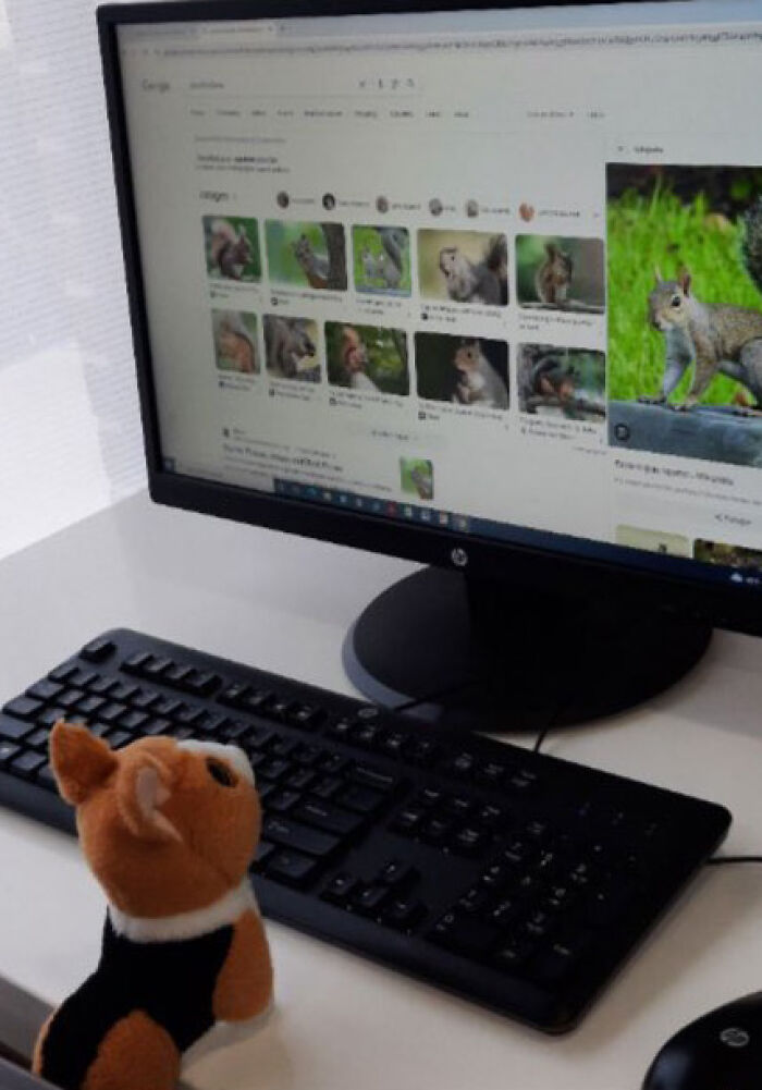 Family Was Distressed After Son’s Toy Was Left Behind Until Hotel Staff Saved The Day Family Was Distressed After Son’s Toy Was Left Behind Until Hotel Staff Saved The Day