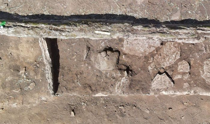 “Well Preserved” DNA Of Twelve 5,500-Year-Old People’s Remains Found In Swedish Neolithic Tomb “Well Preserved” DNA Of Twelve 5,500-Year-Old People’s Remains Found In Swedish Neolithic Tomb