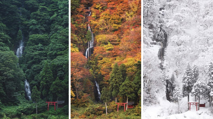 I Came Back To This One Waterfall In Yamagata During 3 Different Seasons