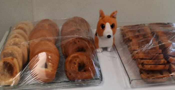 Family Was Distressed After Son’s Toy Was Left Behind Until Hotel Staff Saved The Day Family Was Distressed After Son’s Toy Was Left Behind Until Hotel Staff Saved The Day