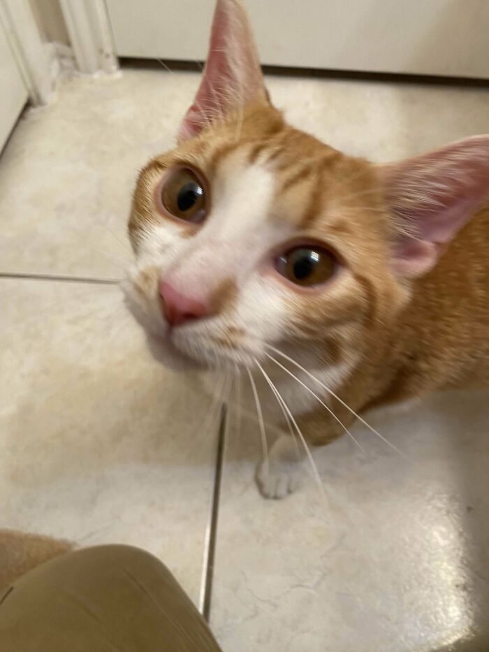 Started The New Years By Adopting This Baby Yesterday :)