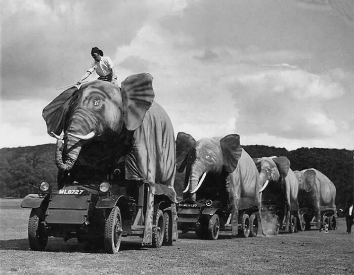 British Military Equipment Disguised As Elephants, India, Wwii