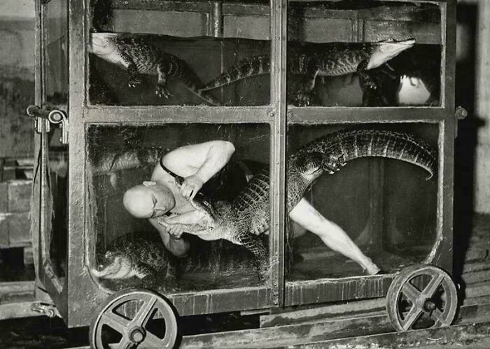 A Circus Performer In An Aquarium Car With Crocodiles, Berlin, 1933