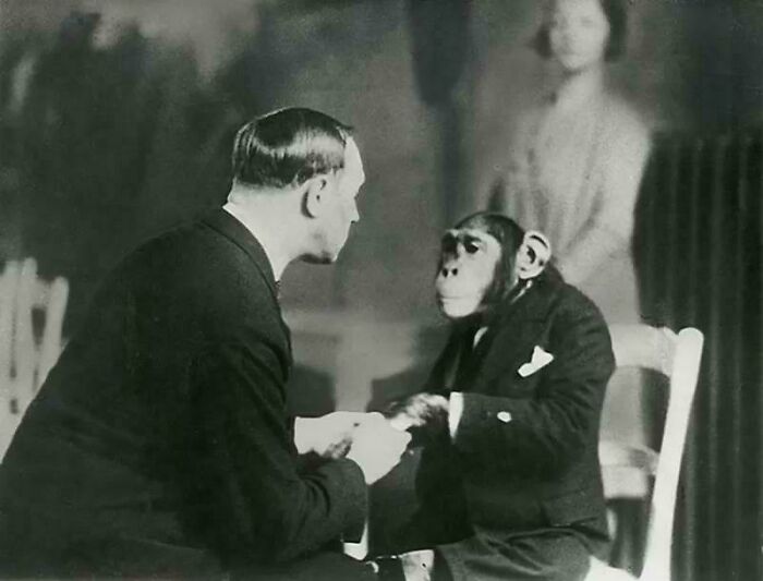 A Telepath Tries To Hypnotise A Chimpanzee, 1941