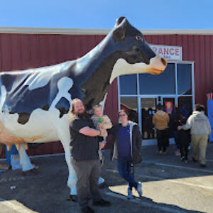 kristinacurtis avatar